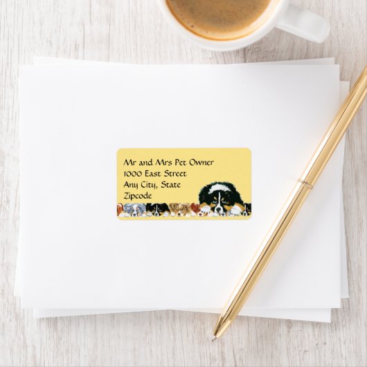 Aussie Puppy Adreslabel Etiket (Insitu)