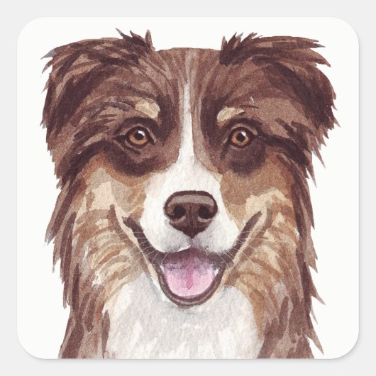  Aussie Puppy Dog Waterverf Australian Shepherd   Vierkante Sticker (Voorkant)