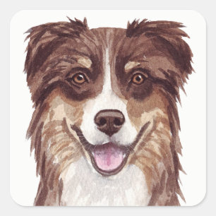 Aussie Puppy Dog Waterverf Australian Shepherd   Vierkante Sticker