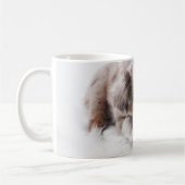 aussie red merle pup koffiemok (Links)