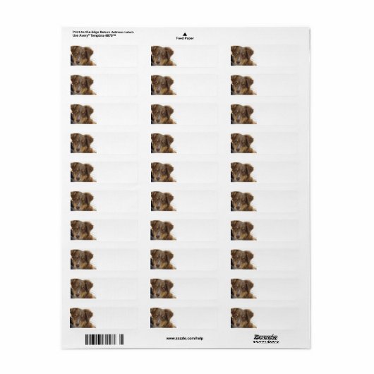 aussie rode tri pup etiket (Full Sheet)
