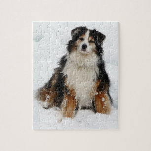 Aussie Shepherd Dog in sneeuw Legpuzzel