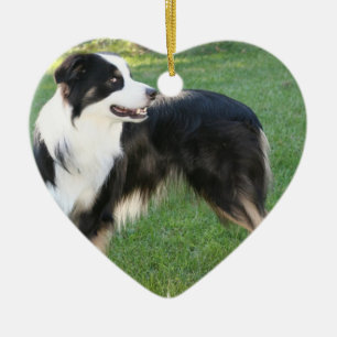 Aussie Shepherd Ornament