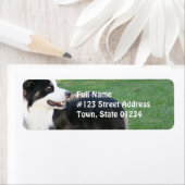 Aussie Shepherd retouradres Verzendlabels Etiket (Insitu)