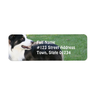 Aussie Shepherd retouradres Verzendlabels Etiket