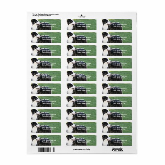 Aussie Shepherd retouradres Verzendlabels Etiket (Full Sheet)