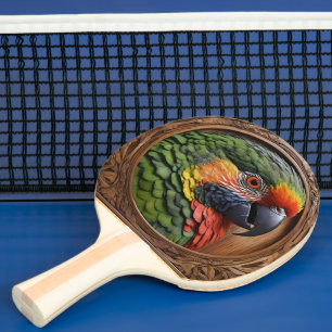 Aussie Spirit: een Loriket neergestreken in gebeel Tafeltennisbatje