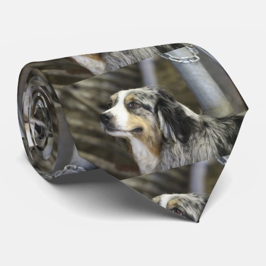 Aussie Stropdas (Opgerold)