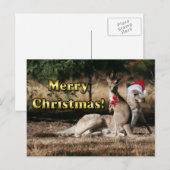 Aussie Style Kerstmis Kangaroos Feestdagenkaart (Voorkant / Achterkant)