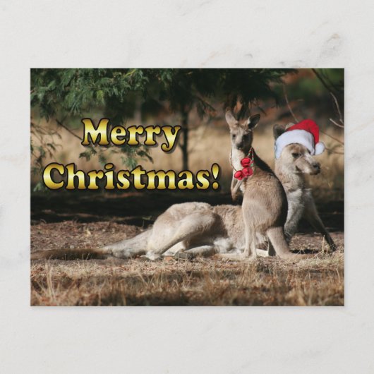 Aussie Style Kerstmis Kangaroos Feestdagenkaart (Voorkant)
