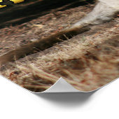 Aussie Style Kerstmis Kangaroos Poster (Hoek)