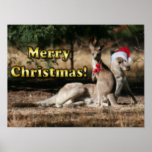Aussie Style Kerstmis Kangaroos Poster