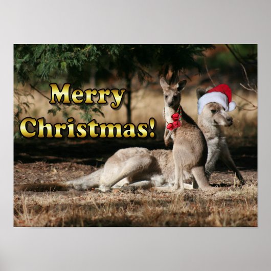Aussie Style Kerstmis Kangaroos Poster (Voorkant)