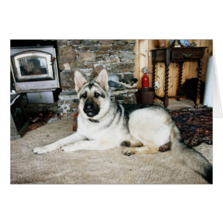 Aussie volledig Uitzicht/Fireplace