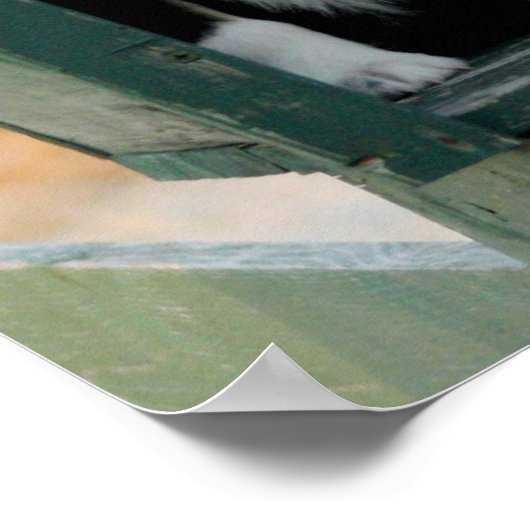 Aussie Wagon Fun Poster (Hoek)