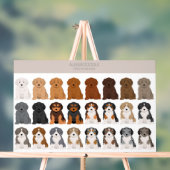 Aussiedoodle dog mix acryl bord (Neutraal)