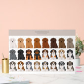 Aussiedoodle dog mix acryl bord (Huwelijk)