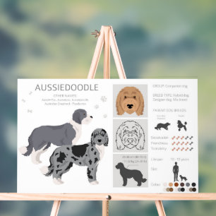 Aussiedoodle hondenmix acryl bord
