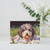 Aussiedoodle mit Gänseblümchen Briefkaart (Staand voorkant)