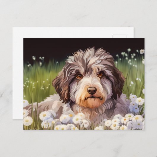 Aussiedoodle mit Gänseblümchen Briefkaart (Voorkant / Achterkant)