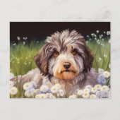 Aussiedoodle mit Gänseblümchen Briefkaart (Voorkant)
