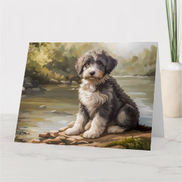 Aussiedoodle Welpe am Fluss Kaart