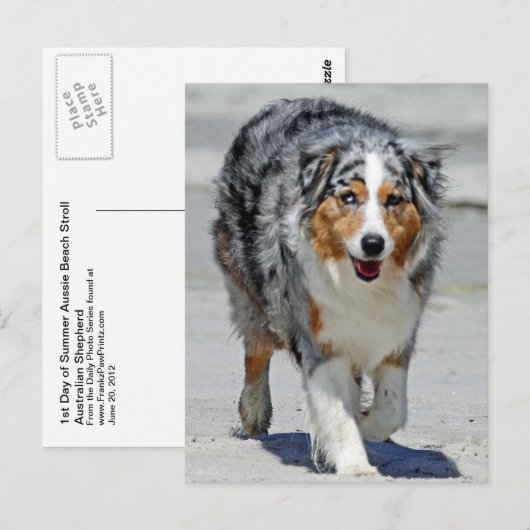 Aussies - 1e dag van de zomerkraam briefkaart (Voorkant / Achterkant)