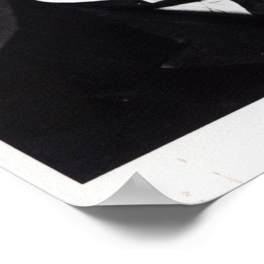 Austen Chamberlain Poster (Hoek)