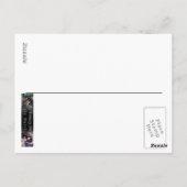 Austere Fairy Fantasy Briefkaart (Achterkant)