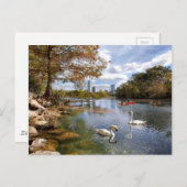 Austin, de Zwanen van het Meer van de Kreek/van Briefkaart (Voorkant / Achterkant)