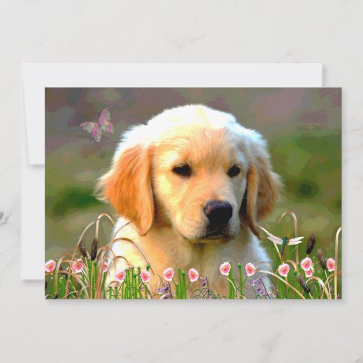Austin Golden Labrador Puppy Kaart (Voorkant)