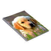 Austin Golden Labrador Puppy Notitieboek (Rechterzijde)