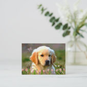 Austin Golden Labrador Puppy Visitekaartje (Staand voorkant)