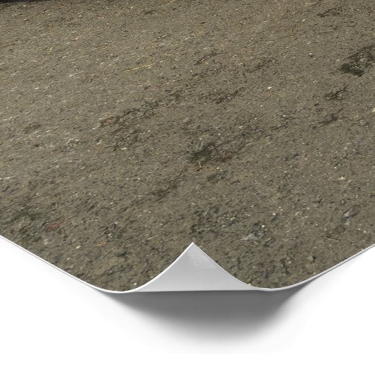 Austin Healey 3000 Poster (Hoek)