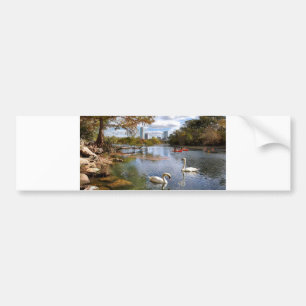 Austin, Texas Barton Creek/Ladybird Lake Swans Bumpersticker