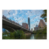 Austin, Texas Bats Foto Afdruk (Voorkant)