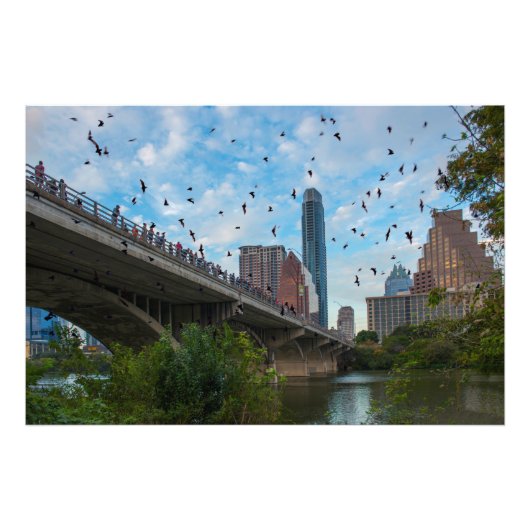 Austin, Texas Bats Foto Afdruk (Voorkant)