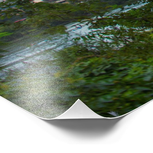 Austin, Texas Bats Foto Afdruk (Hoek)