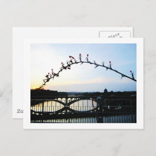 Austin Texas Briefkaart (Voorkant / Achterkant)