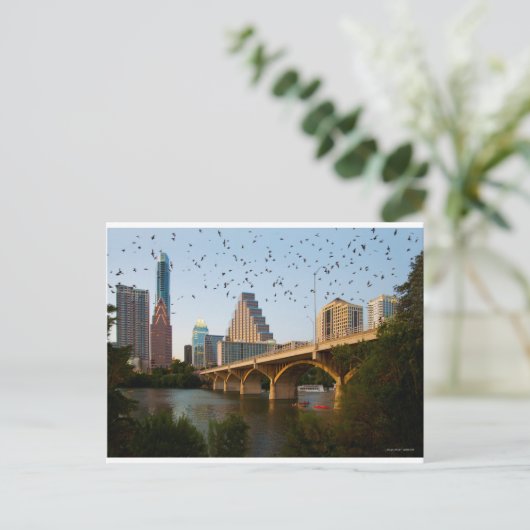 Austin, Texas Congress Bridge Bats Briefkaart (Staand voorkant)