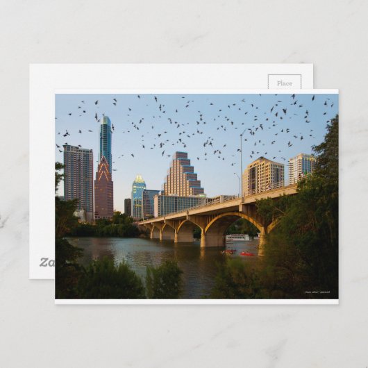 Austin, Texas Congress Bridge Bats Briefkaart (Voorkant / Achterkant)