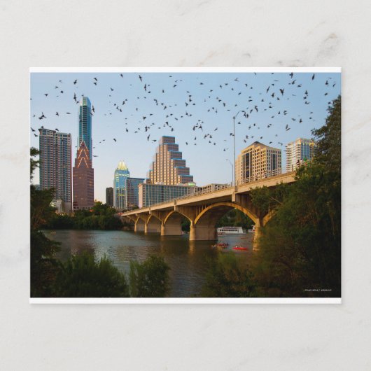 Austin, Texas Congress Bridge Bats Briefkaart (Voorkant)