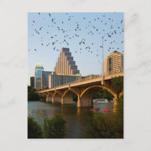 Austin, Texas Congress Bridge Bats Briefkaart