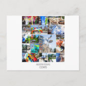 Austin Texas Cows Briefkaart (Voorkant)