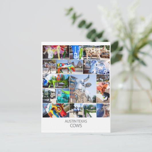 Austin Texas Cows Briefkaart (Staand voorkant)
