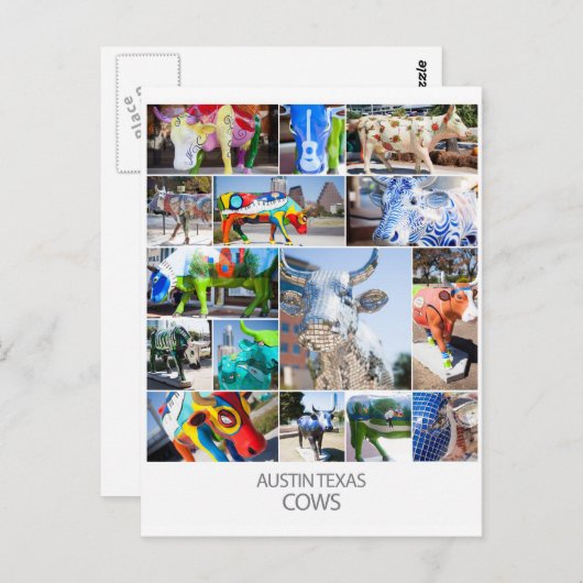 Austin Texas Cows Briefkaart (Voorkant / Achterkant)