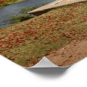 Austin Texas Downtown Skyline - Ladybird Lake Poster (Hoek)