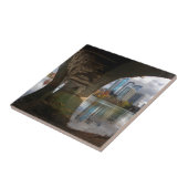 Austin Texas Ladybird Lake Trail Pedestrian Bridge Tegeltje (Zijkant)