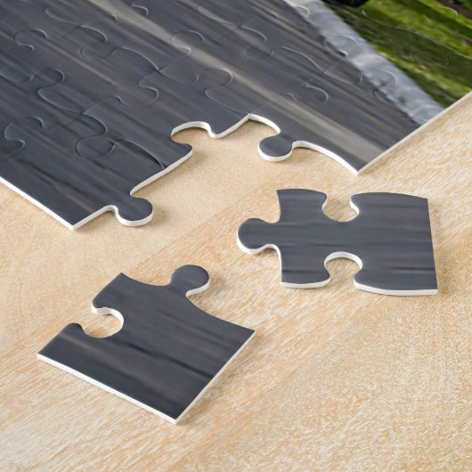 Austin Texas Legpuzzel (Zijkant)