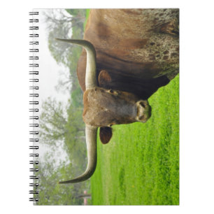 Austin Texas Longhorn Cow-fotonotebook Notitieboek
